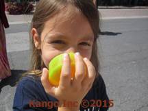 Kids Soap - Kango Naturals 